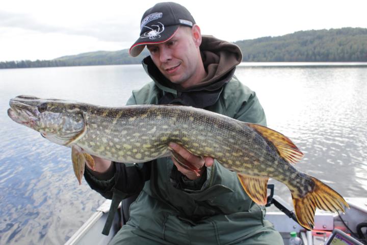 K640 Schweden 09 2014 78